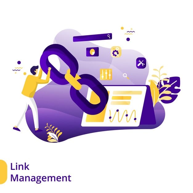 Link Building & Link Insertion